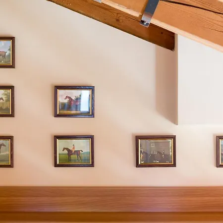 Il Vivaio Di Grimani Morosini Appartement *